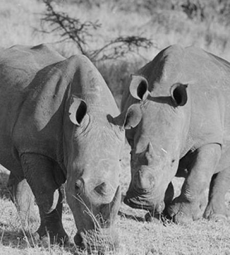 Cyril Christo and Marie Wilkinson